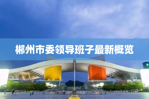 郴州市委領導班子最新概覽
