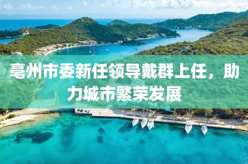 亳州市委新任領(lǐng)導(dǎo)戴群上任，助力城市繁榮發(fā)展