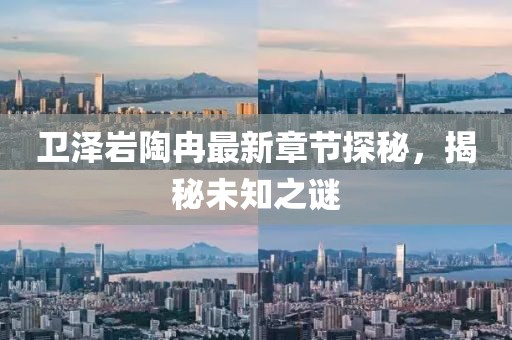 衛(wèi)澤巖陶冉最新章節(jié)探秘，揭秘未知之謎