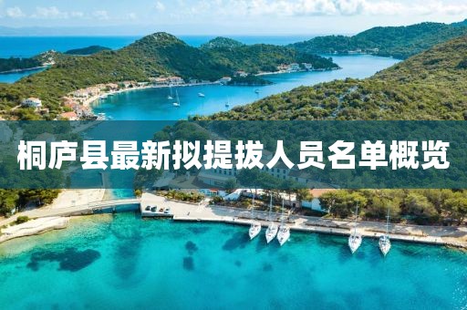 桐廬縣最新擬提拔人員名單概覽