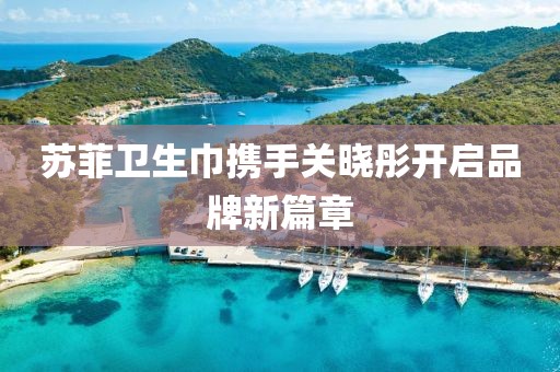 蘇菲衛(wèi)生巾攜手關(guān)曉彤開啟品牌新篇章