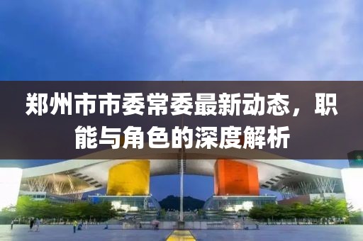 鄭州市市委常委最新動態(tài)，職能與角色的深度解析