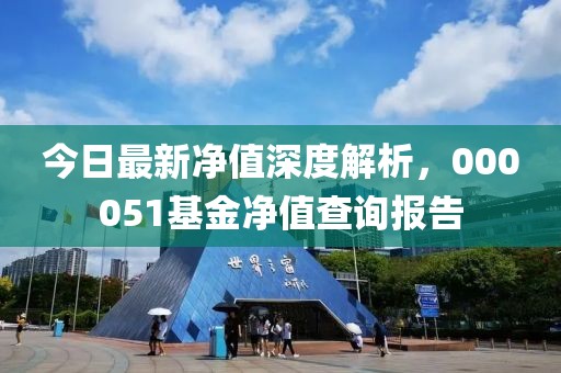 今日最新凈值深度解析，000051基金凈值查詢報告