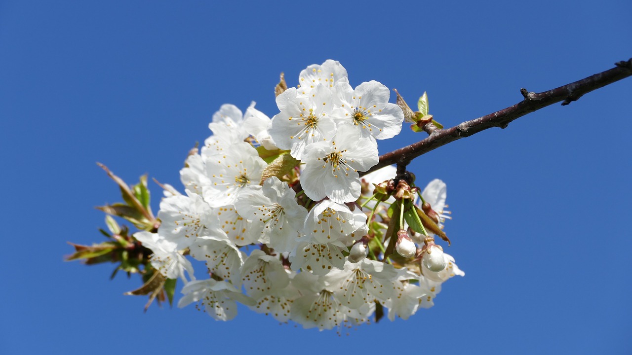 興永郴贛鐵路進(jìn)展順利，助力區(qū)域經(jīng)濟(jì)發(fā)展新動(dòng)態(tài)