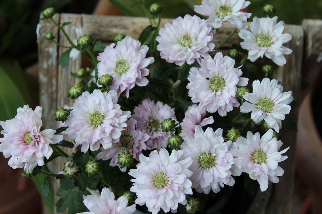 丹陽(yáng)昆侖華府最新動(dòng)態(tài)解析，深度了解最新消息