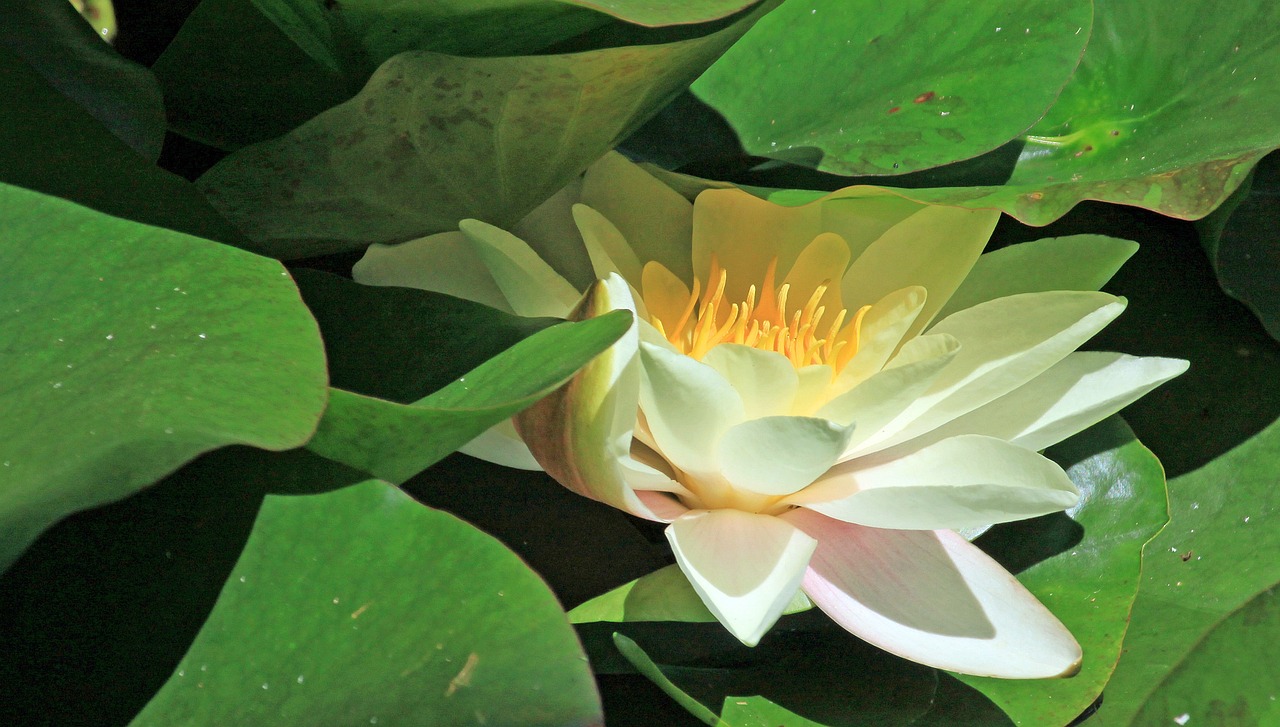 江門瓏湖灣未來繁華啟幕，最新動(dòng)態(tài)揭示未來發(fā)展新篇章