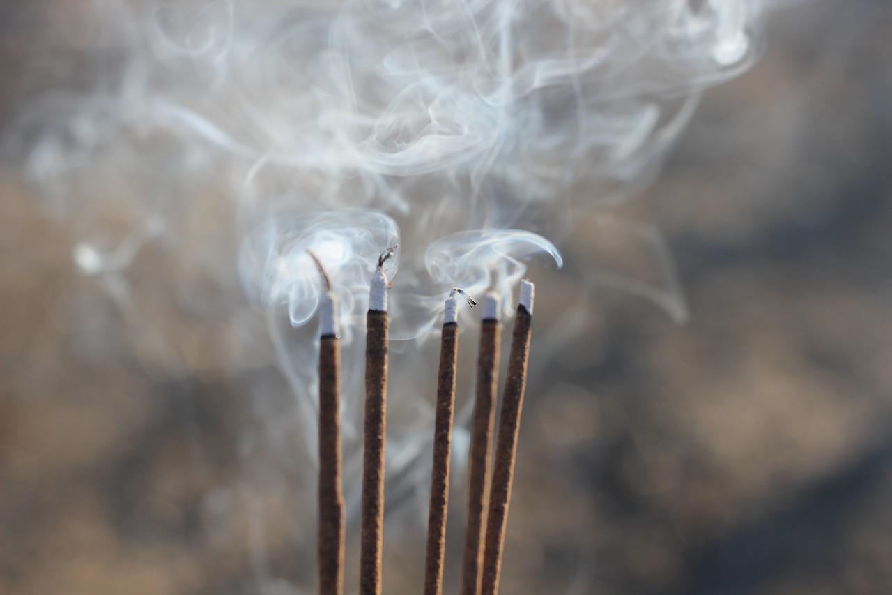 昆山溪香米蘭最新動態(tài)揭秘，最新消息一覽無余