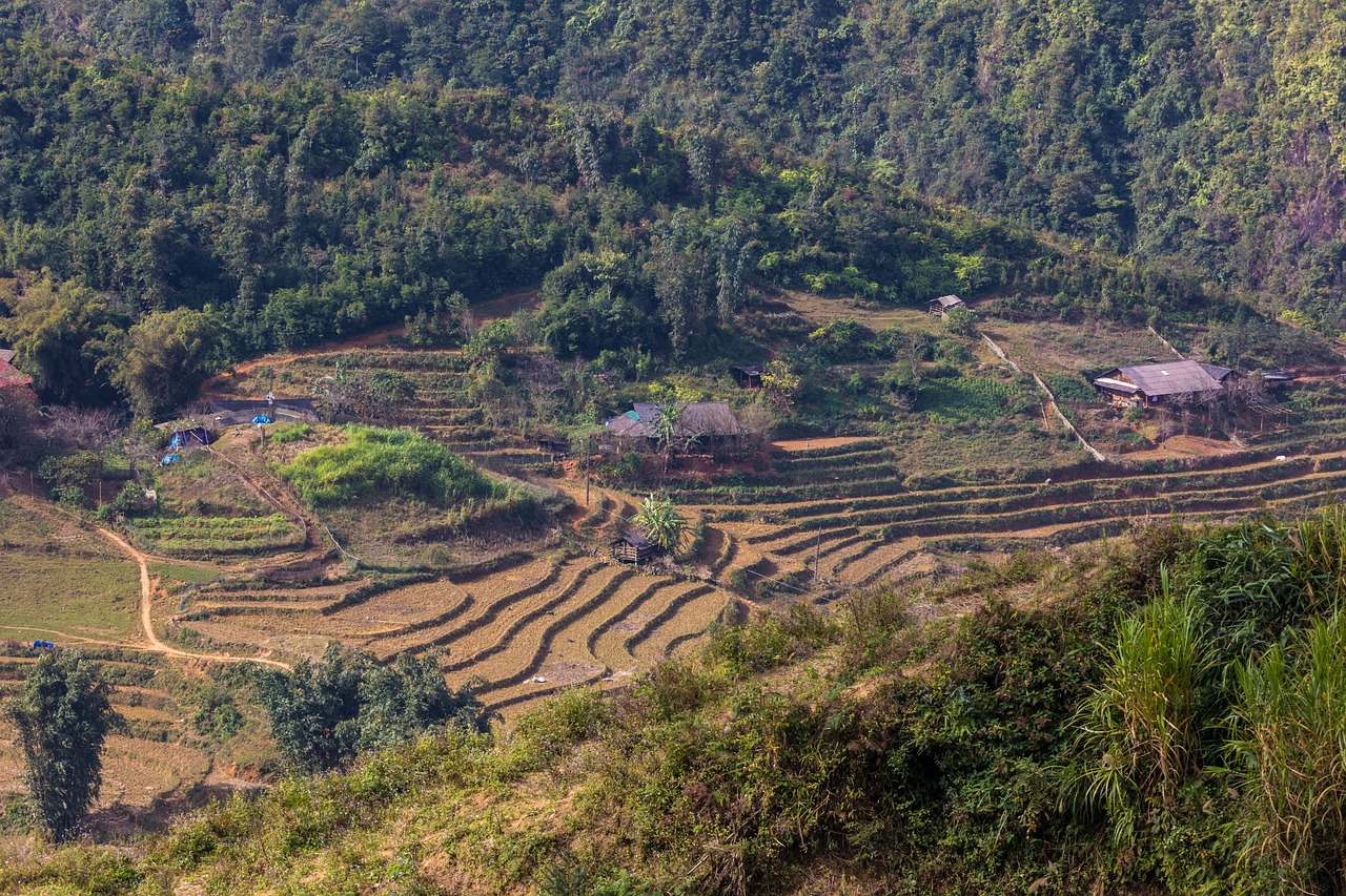 符離鎮(zhèn)最新規(guī)劃圖揭曉，展望繁榮未來，符離鎮(zhèn)2016規(guī)劃展望