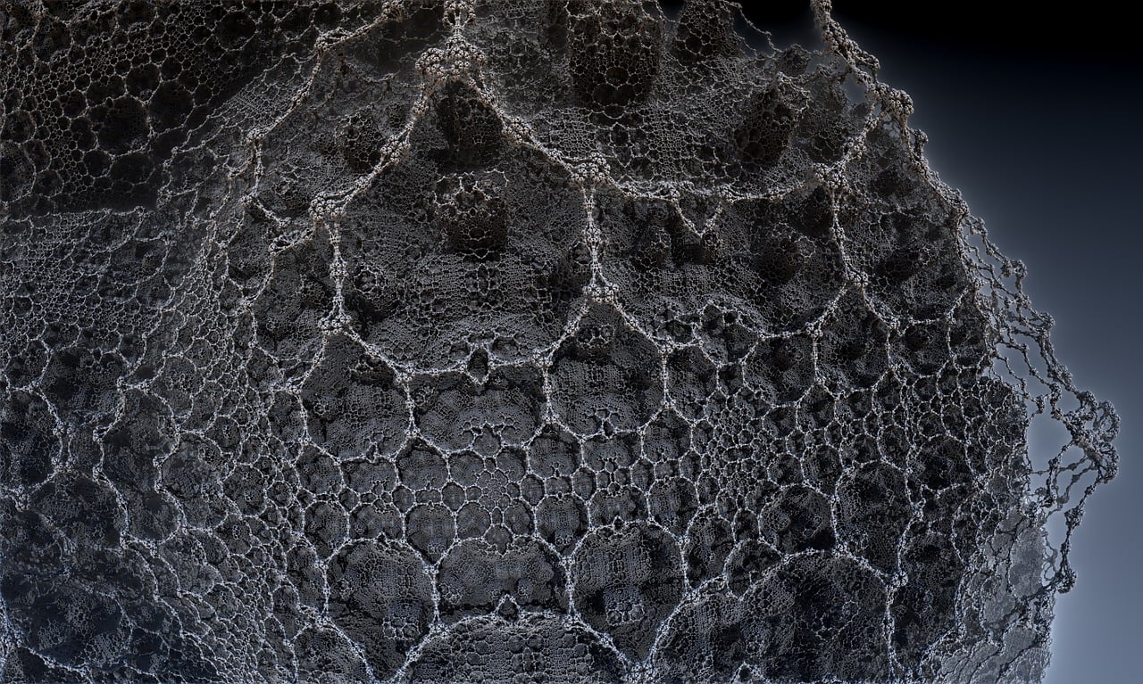 湛江李昌梧最新動(dòng)態(tài)，傳奇人物的嶄新篇章