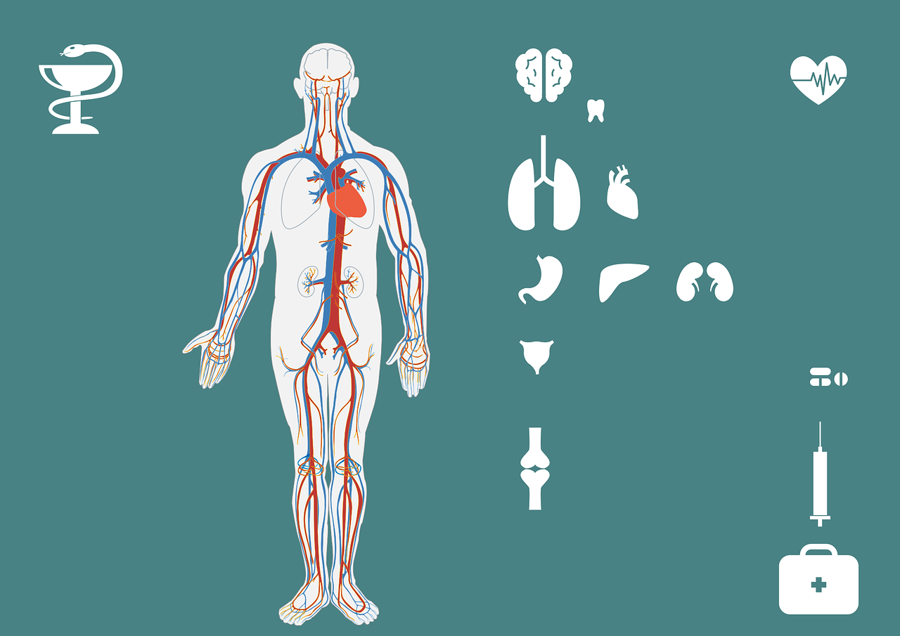急診搶救流程圖優(yōu)化，提升搶救成功率與急救服務(wù)質(zhì)量