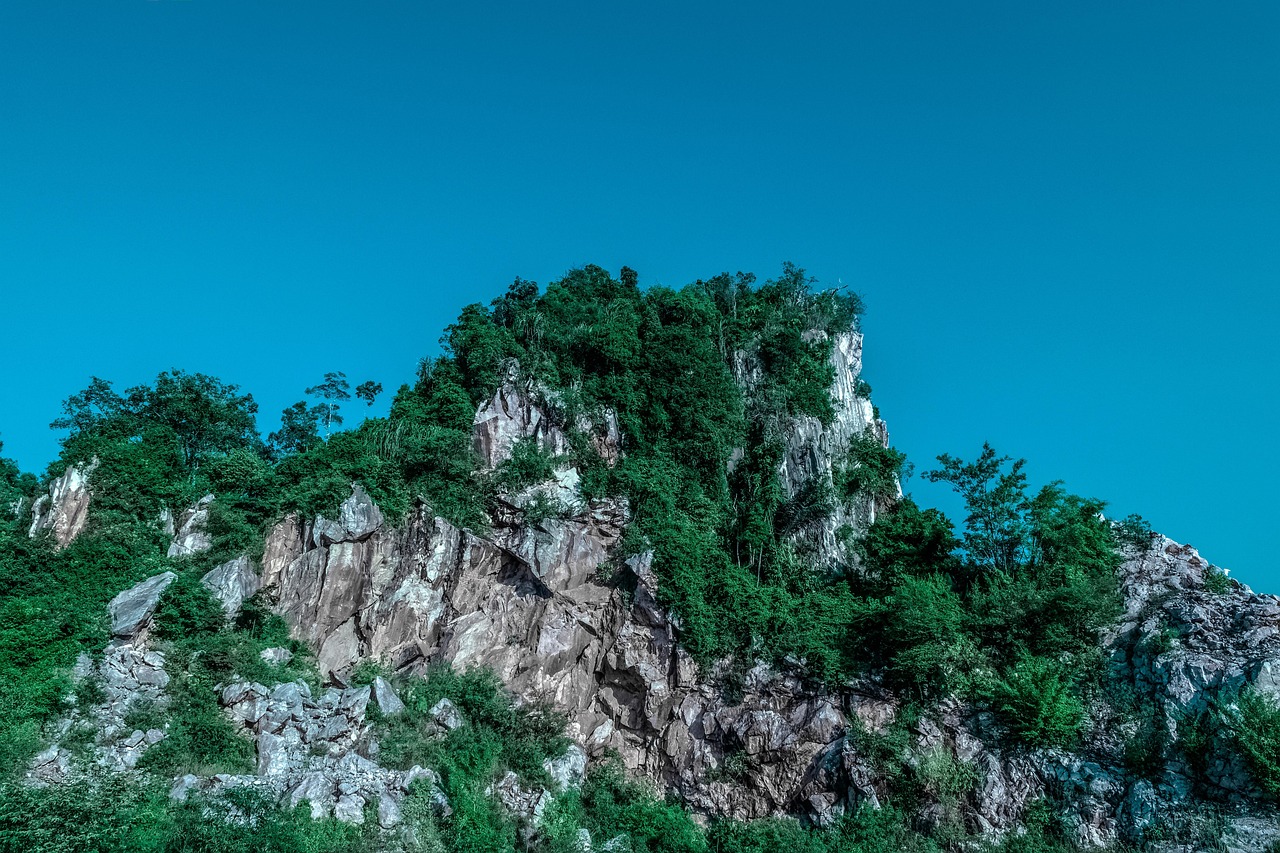 傳藝科技股票最新消息綜述，掌握最新動態(tài)，洞悉股市走向