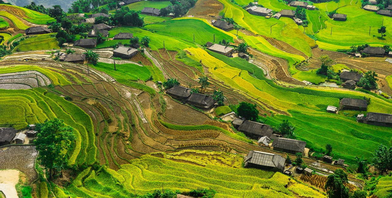 中緬合作新篇章，運(yùn)八飛機(jī)在緬甸的最新動(dòng)態(tài)與消息