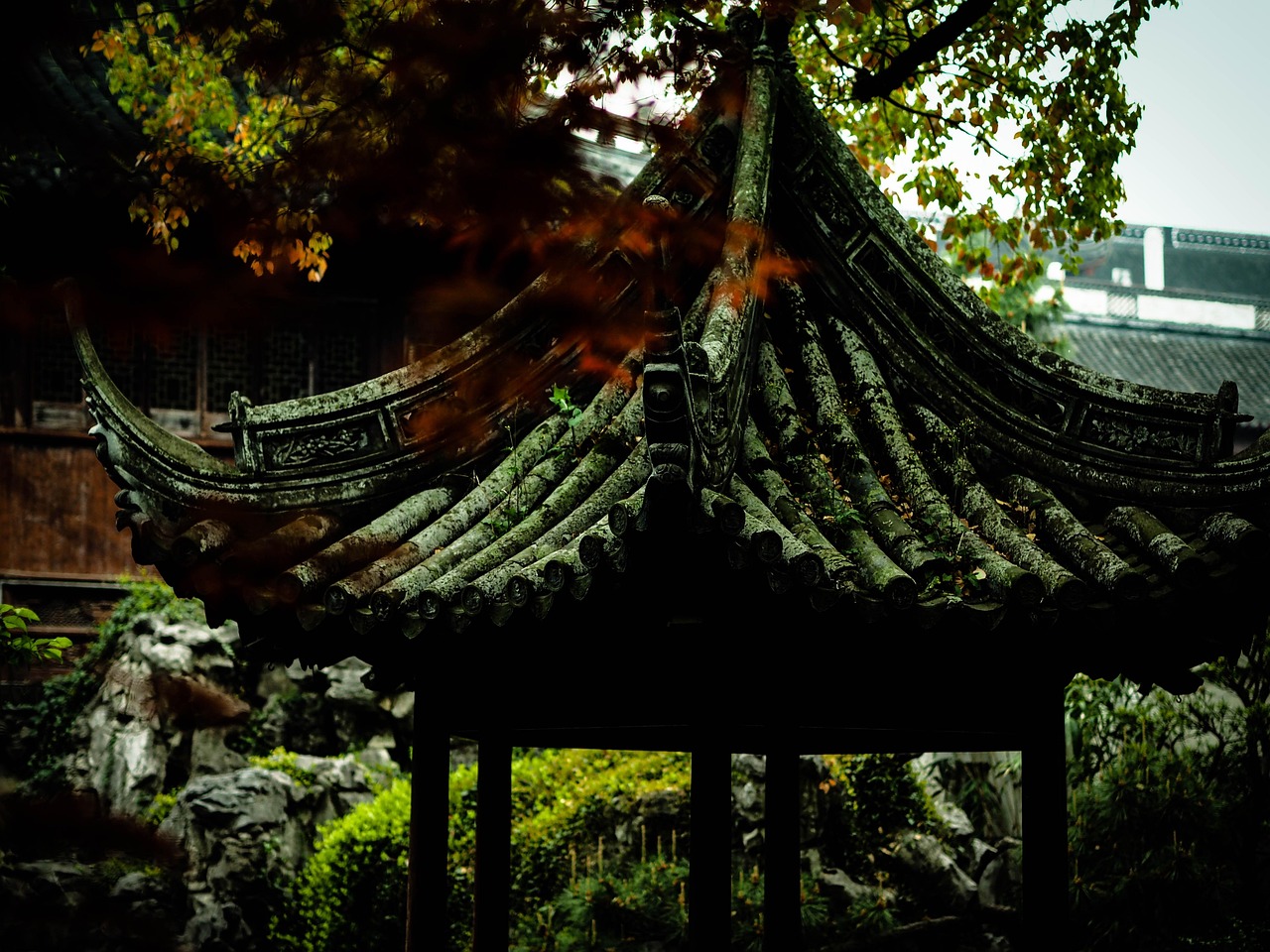 中國女排隊(duì)蓄勢(shì)待發(fā)，展現(xiàn)新篇章，最新消息與動(dòng)態(tài)速遞