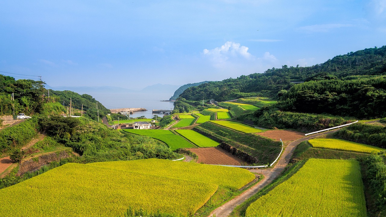 廣西靈山高速建設(shè)進(jìn)展揭秘，最新消息與未來展望