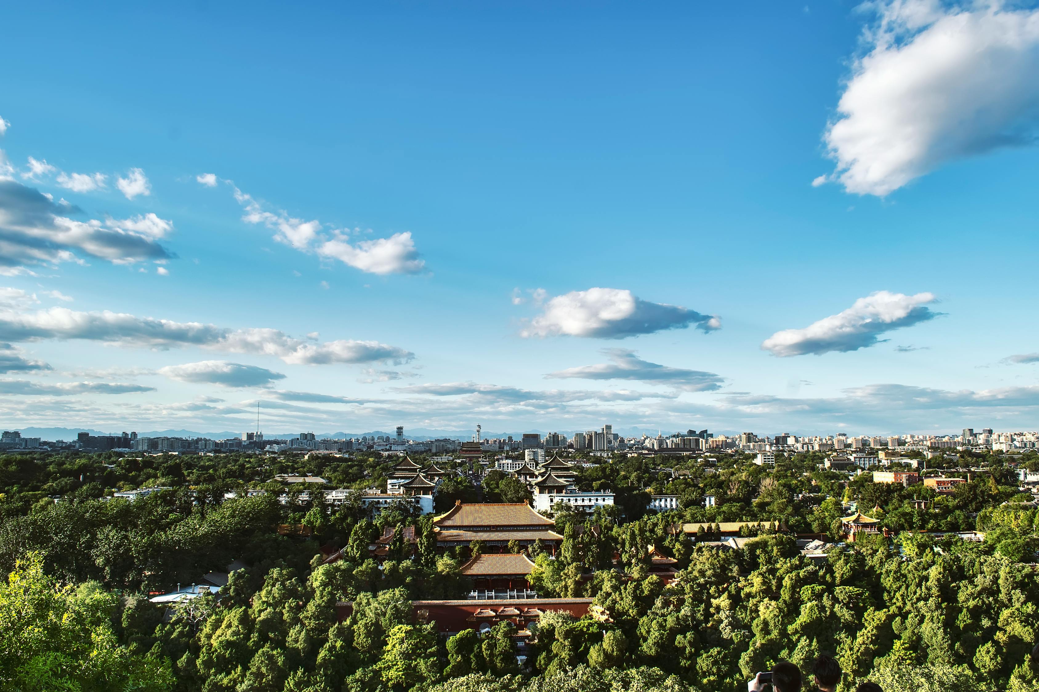 長沙洞井路最新動態(tài)，城市發(fā)展與民生改善同步前行