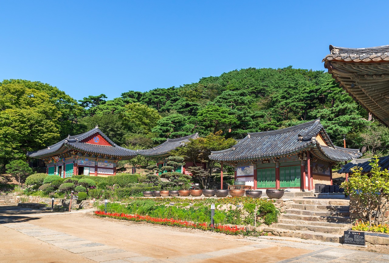 廣饒四季花城，繁榮盛景與未來期待揭秘