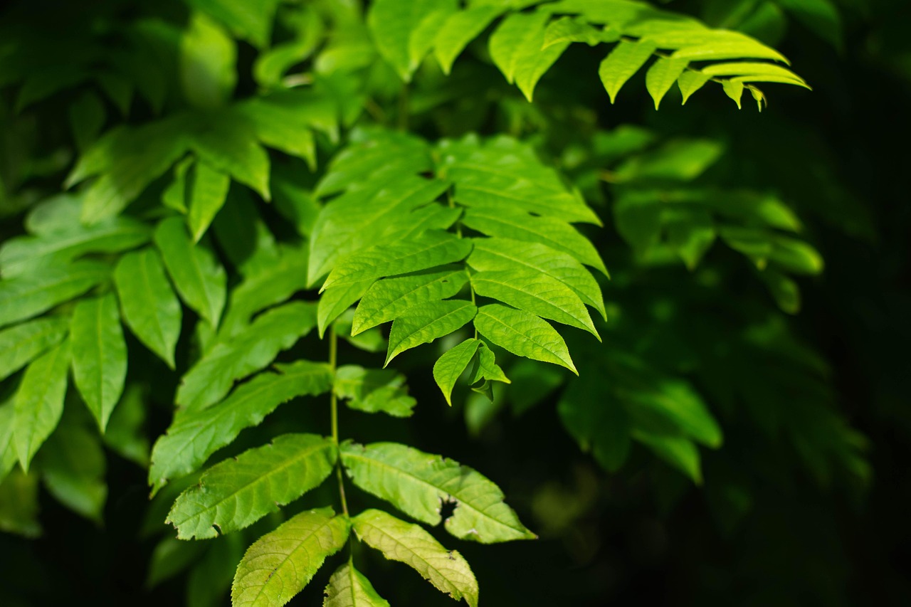 北海水印泉山最新動(dòng)態(tài)，城市發(fā)展與綠色生態(tài)的和諧共鳴