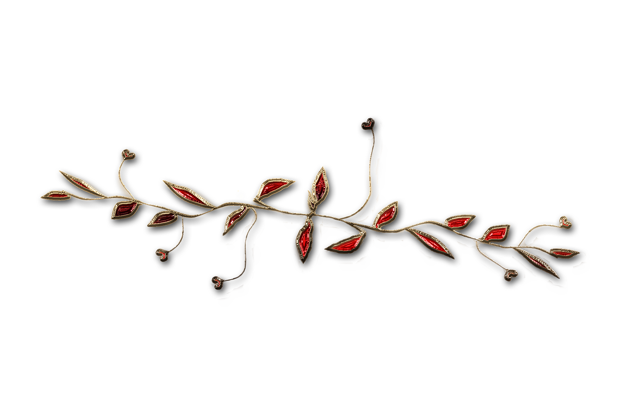 廣西大紅八角產(chǎn)業(yè)蓬勃發(fā)展，前景廣闊，最新消息與動態(tài)
