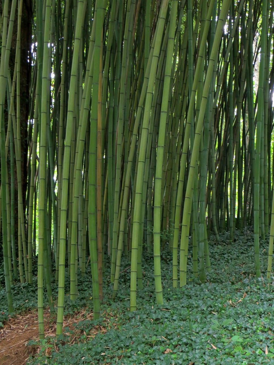 溫州全力備戰(zhàn)臺風(fēng)，溫州臺風(fēng)動態(tài)報告及應(yīng)對臺風(fēng)災(zāi)害的最新消息（2017年）