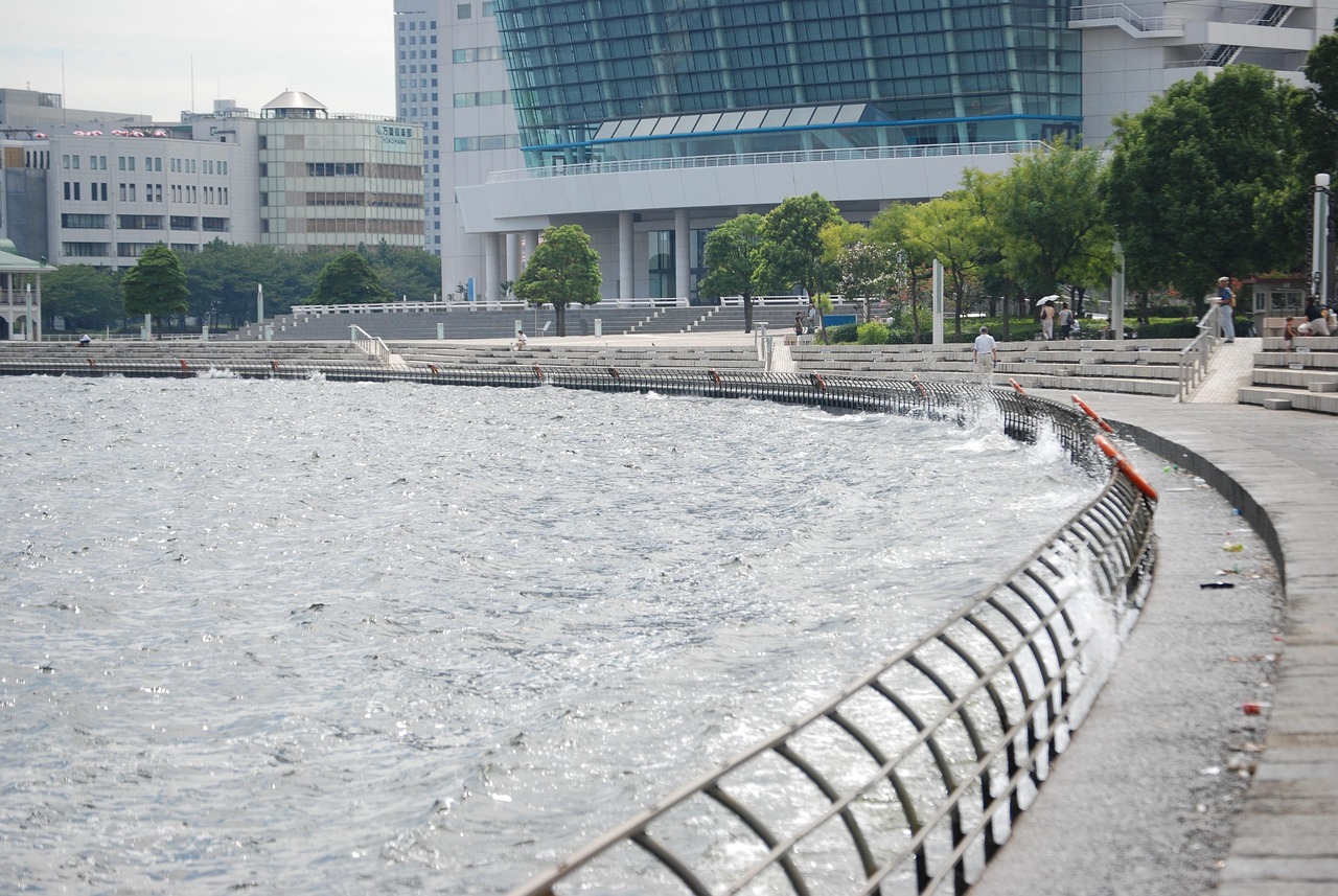 鄭州海昌海洋公園最新動(dòng)態(tài)揭秘，揭開神秘面紗，展現(xiàn)海洋魅力奇觀