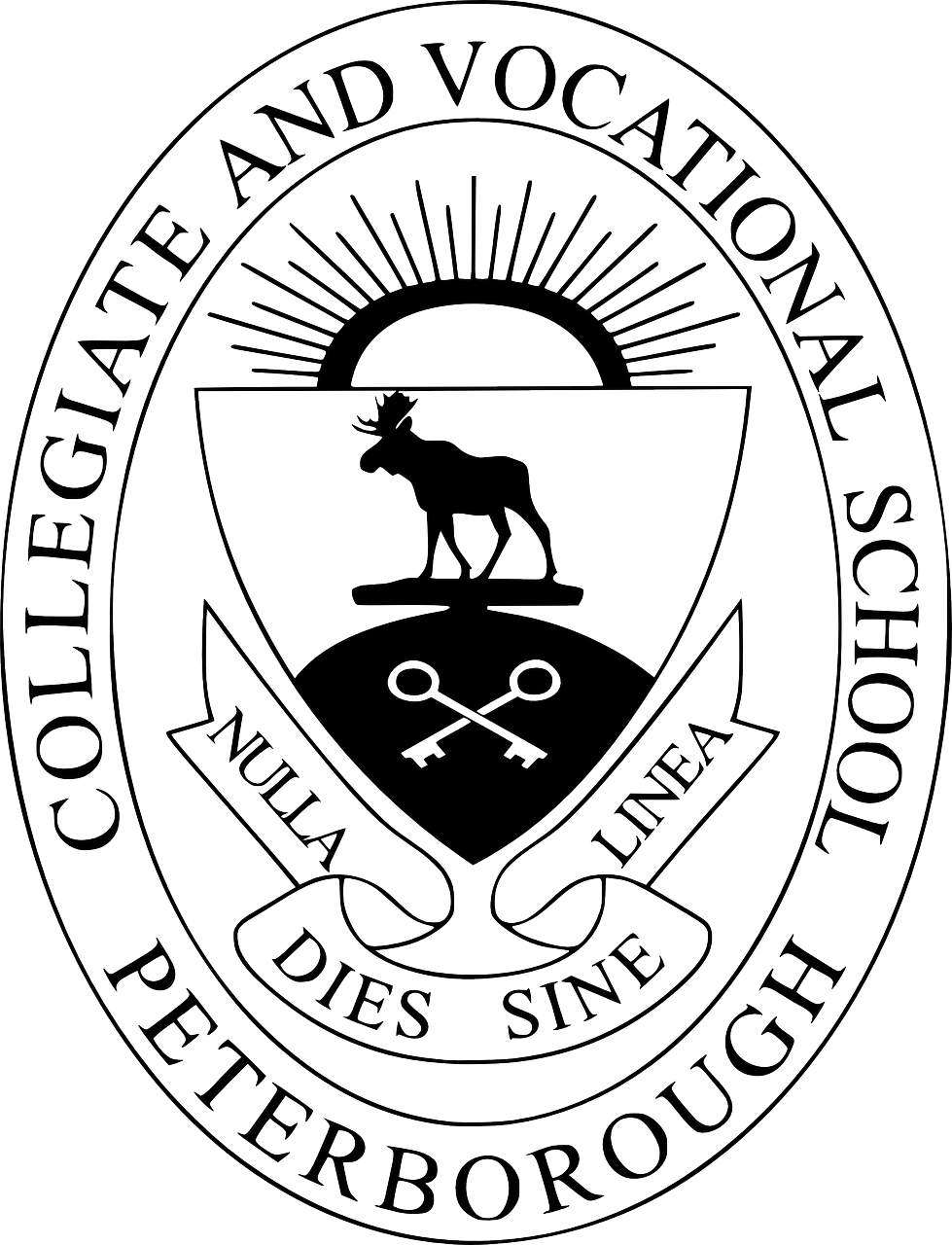 共青城大學(xué)城蓬勃發(fā)展，教育新篇章的最新消息