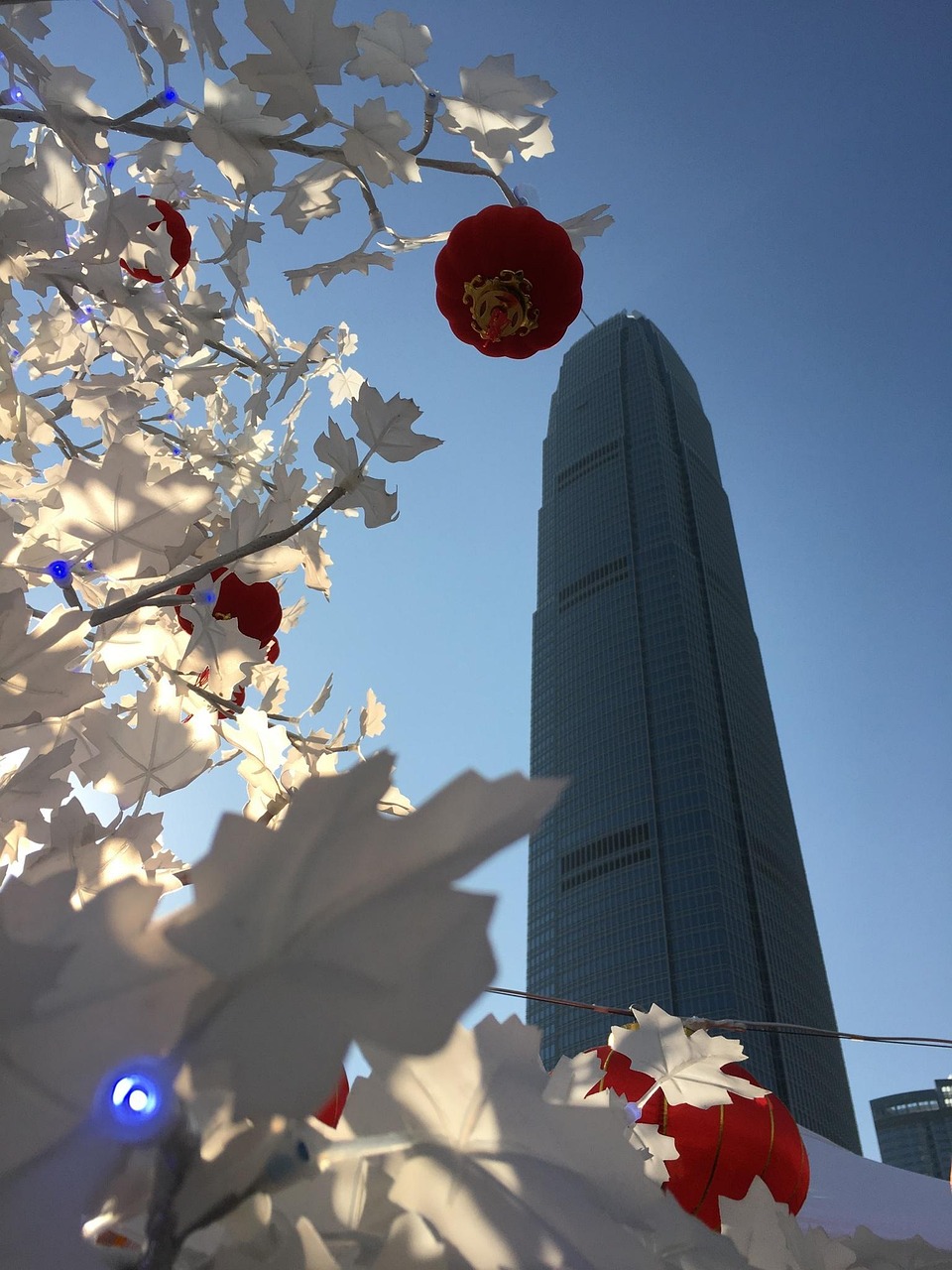 漫漫長夜新版本砍樹探索，全新體驗之旅
