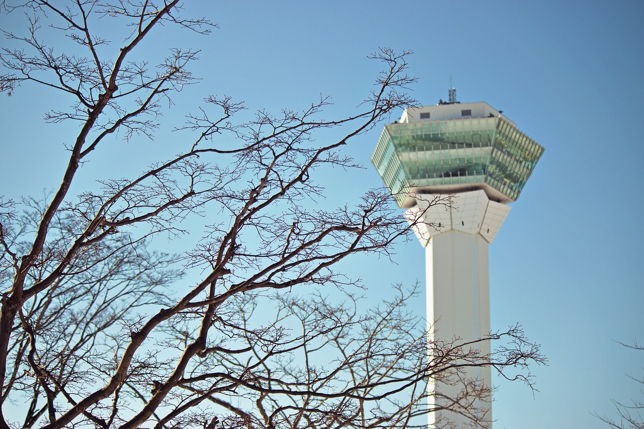 決斗之城最新動態(tài)，新時代卡牌競技盛宴揭秘