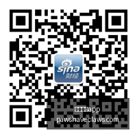 篮球战报,鹈鹕大胜国,锡安制霸爵,足球博彩app官网,足球博彩app下载,足球博彩app登录,足球博彩app平台