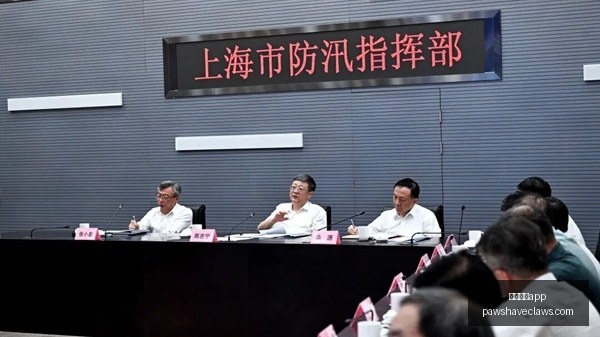 夺冠背后的,赞助,体育品牌助,足球博彩app官网,足球博彩app下载,足球博彩app登录,足球博彩app平台